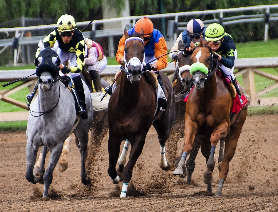 Aprenda os diferentes metodos de apostas em cavalos